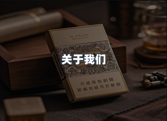 关于我们